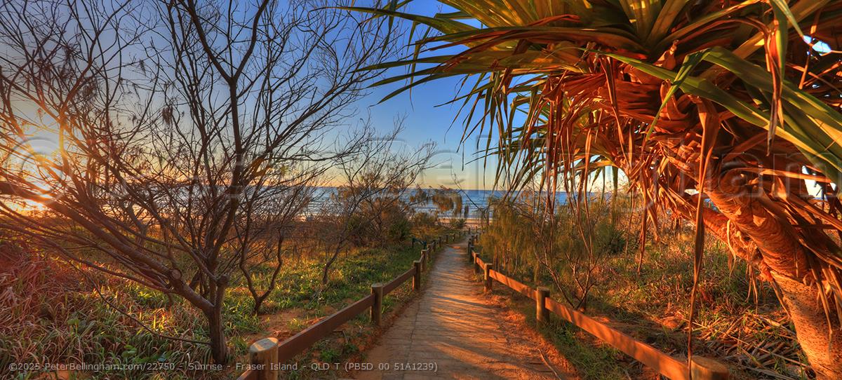 Peter Bellingham Photography Sunrise - Fraser Island - QLD T (PB5D 00 51A1239)
